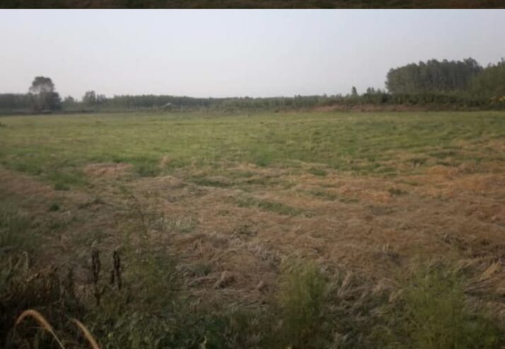 زمین باغچه ای سوسن آباد
