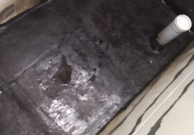 1000001786