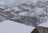 زمین مسکونی