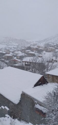 زمین مسکونی