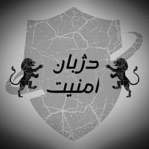 دوربین مدار بسته ، دزدگیر اماکن ، شبکه و برق اضطراری