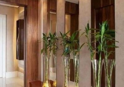 entrance-partition-of-the-house-1