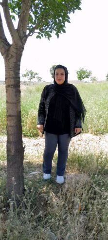 داربست هشتگرد