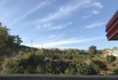 خانه ویلایی حیاط دار در بلوار کشاورز