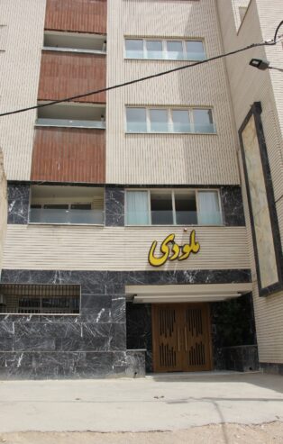 زندگی در اینجا یک ماجراجویی است
